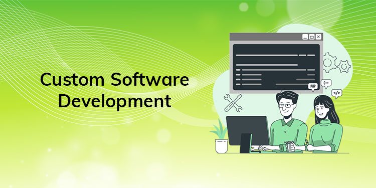 Custom software Dev